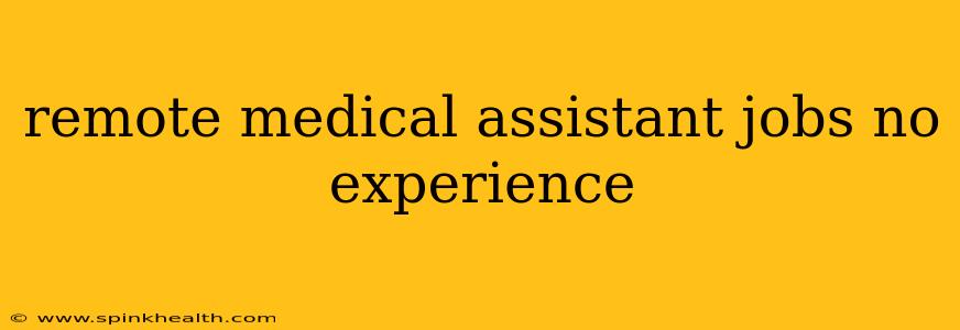 remote medical assistant jobs no experience