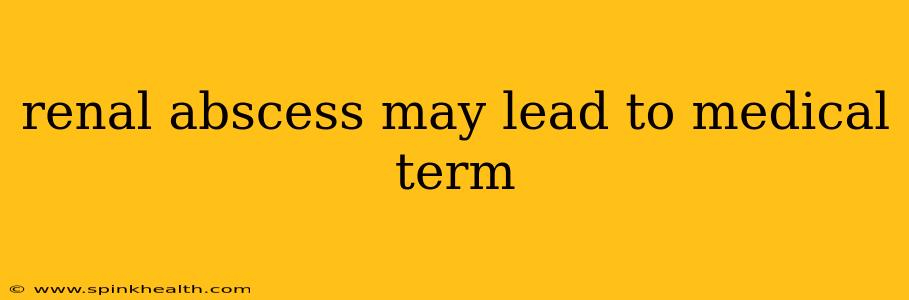 renal abscess may lead to medical term