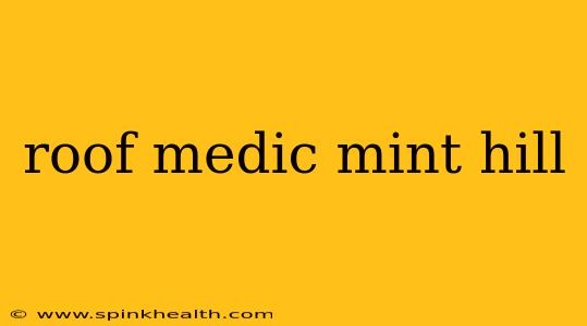 roof medic mint hill