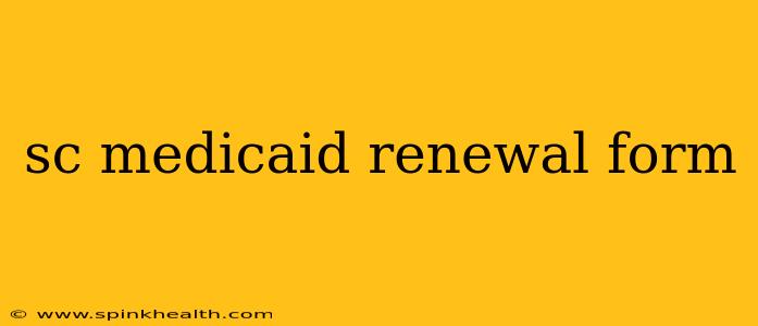 sc medicaid renewal form