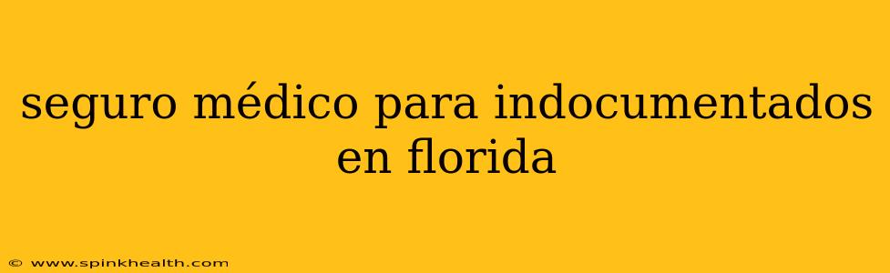 seguro médico para indocumentados en florida