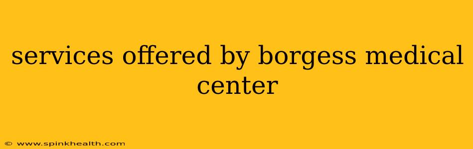 services offered by borgess medical center