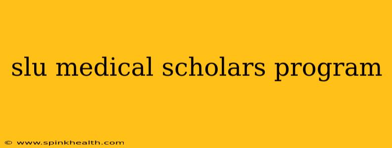 slu medical scholars program