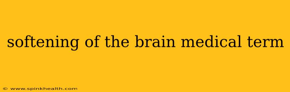 softening of the brain medical term