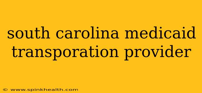 south carolina medicaid transporation provider