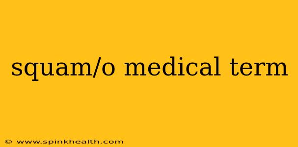 squam/o medical term