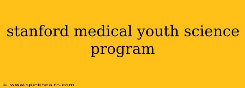 stanford medical youth science program