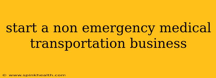 start a non emergency medical transportation business