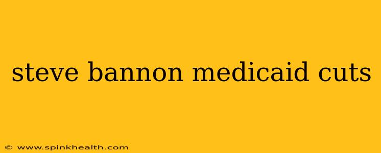 steve bannon medicaid cuts