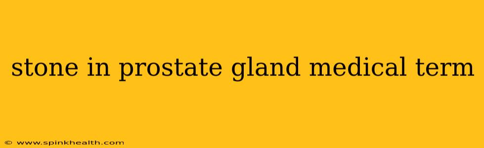 stone in prostate gland medical term