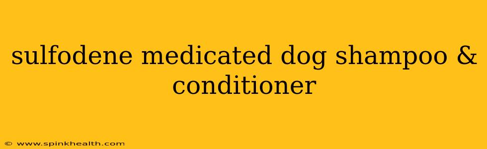 sulfodene medicated dog shampoo & conditioner