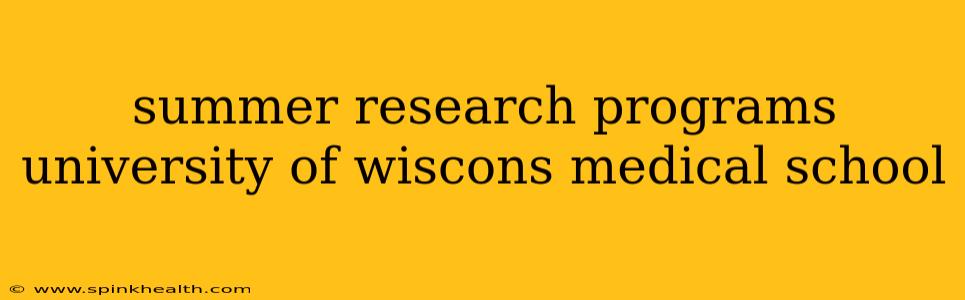 summer research programs university of wiscons medical school