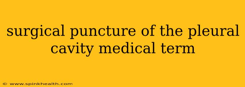 surgical puncture of the pleural cavity medical term
