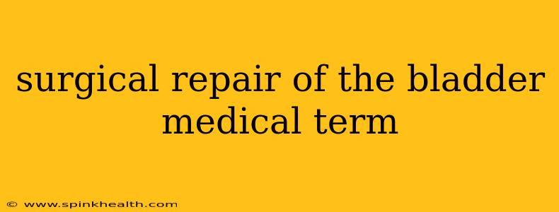 surgical repair of the bladder medical term