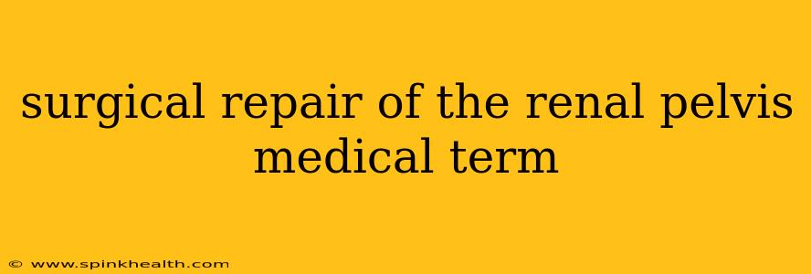 surgical repair of the renal pelvis medical term