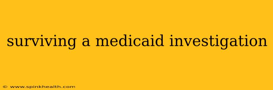 surviving a medicaid investigation