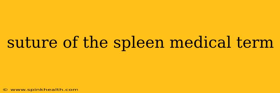 suture of the spleen medical term