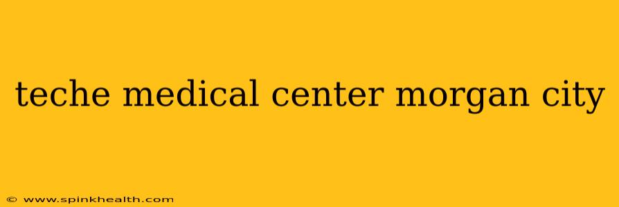 teche medical center morgan city