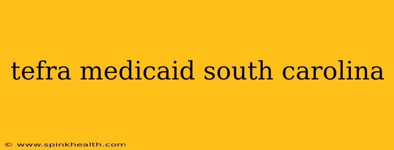 tefra medicaid south carolina