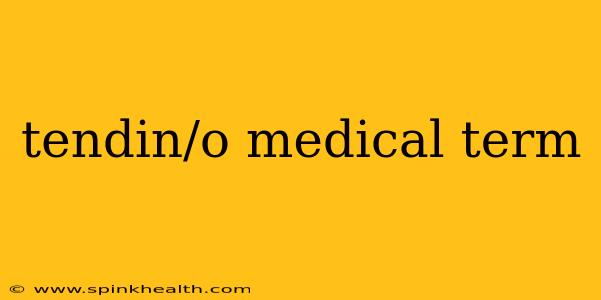 tendin/o medical term