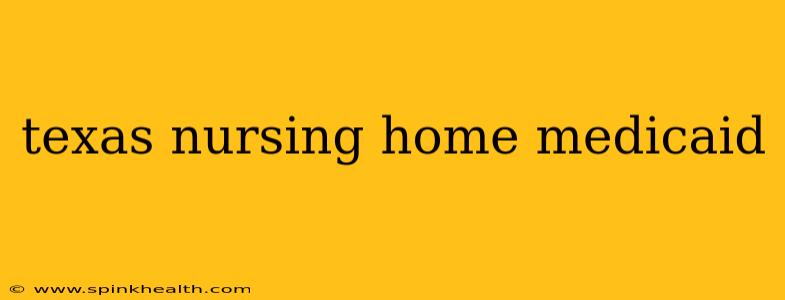 texas nursing home medicaid