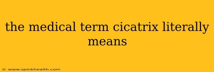 the medical term cicatrix literally means
