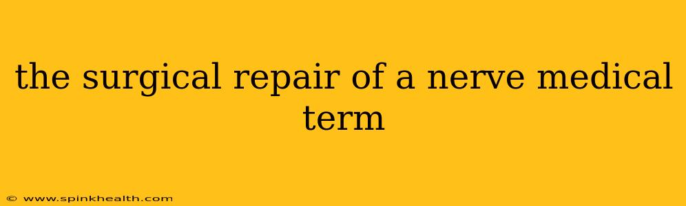 the surgical repair of a nerve medical term