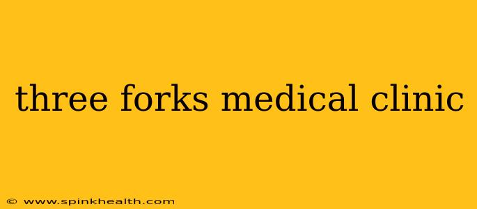 three forks medical clinic