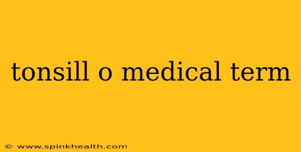 tonsill o medical term