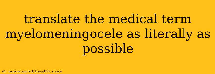 translate the medical term myelomeningocele as literally as possible