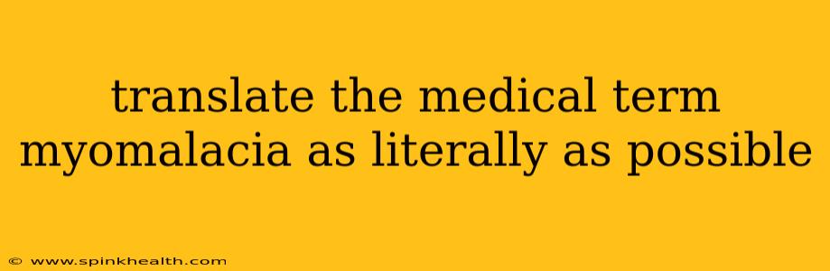 translate the medical term myomalacia as literally as possible