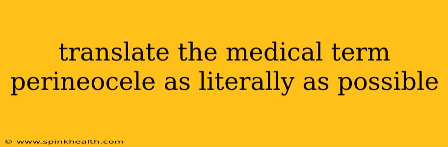 translate the medical term perineocele as literally as possible