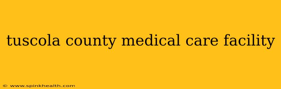 tuscola county medical care facility