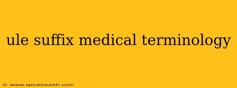 ule suffix medical terminology