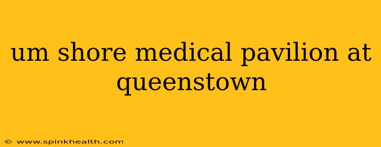 um shore medical pavilion at queenstown