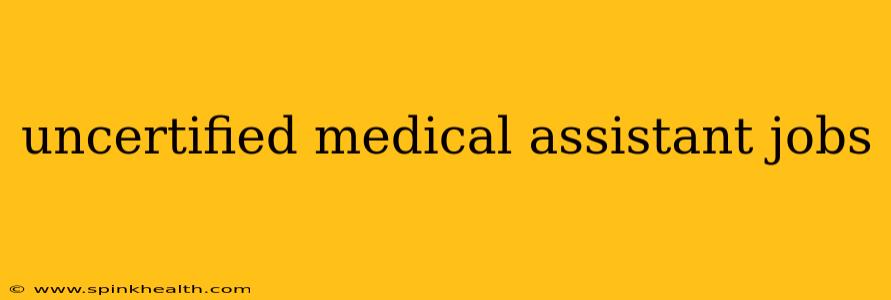 uncertified medical assistant jobs