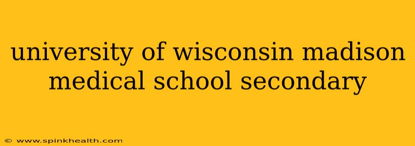 university of wisconsin madison medical school secondary