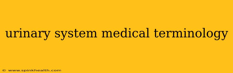 urinary system medical terminology