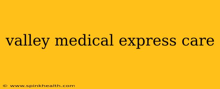 valley medical express care