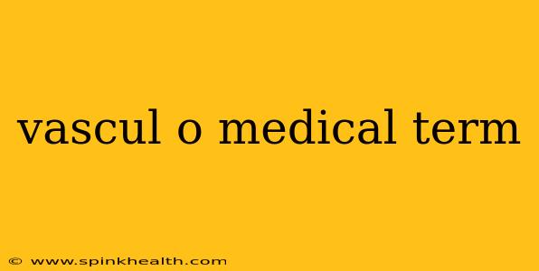 vascul o medical term