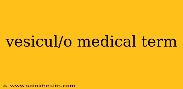 vesicul/o medical term