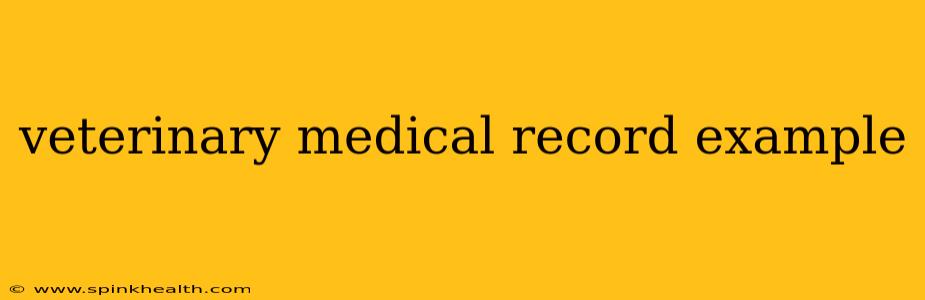 veterinary medical record example