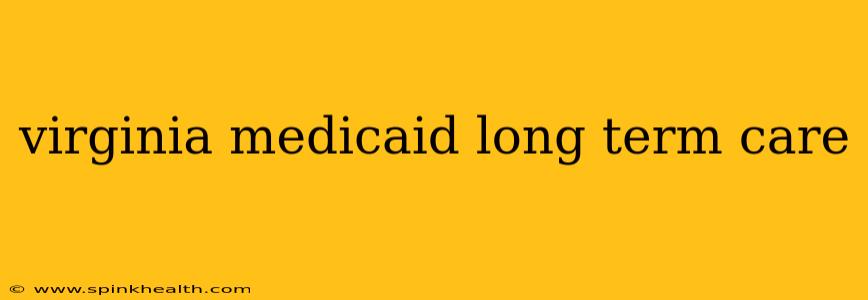 virginia medicaid long term care