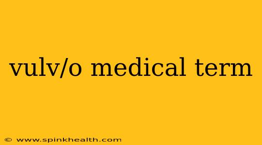 vulv/o medical term