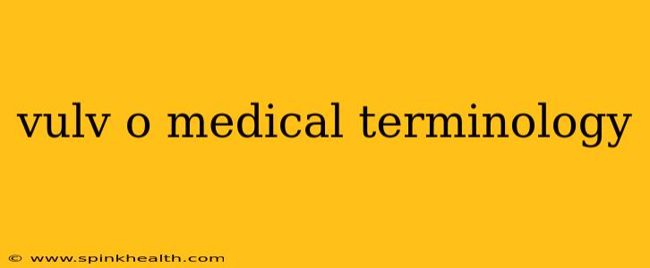 vulv o medical terminology