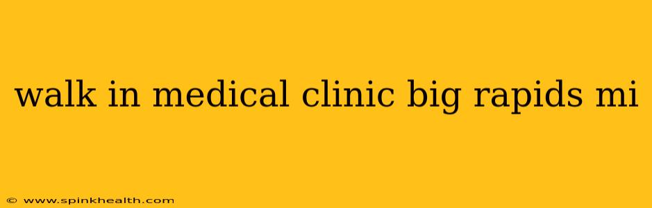 walk in medical clinic big rapids mi