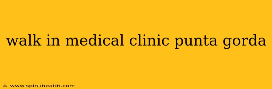 walk in medical clinic punta gorda