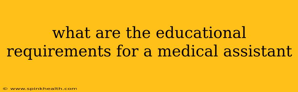 what are the educational requirements for a medical assistant