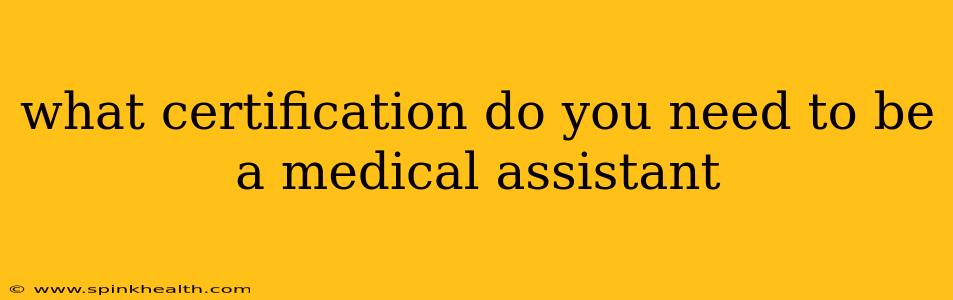 what certification do you need to be a medical assistant