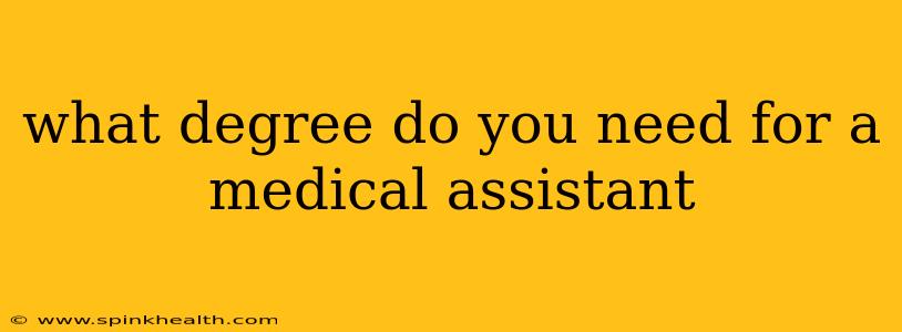 what degree do you need for a medical assistant